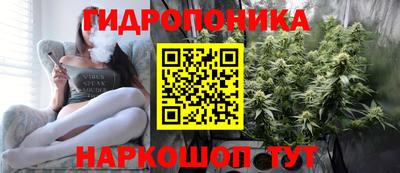 хмурый Дубна