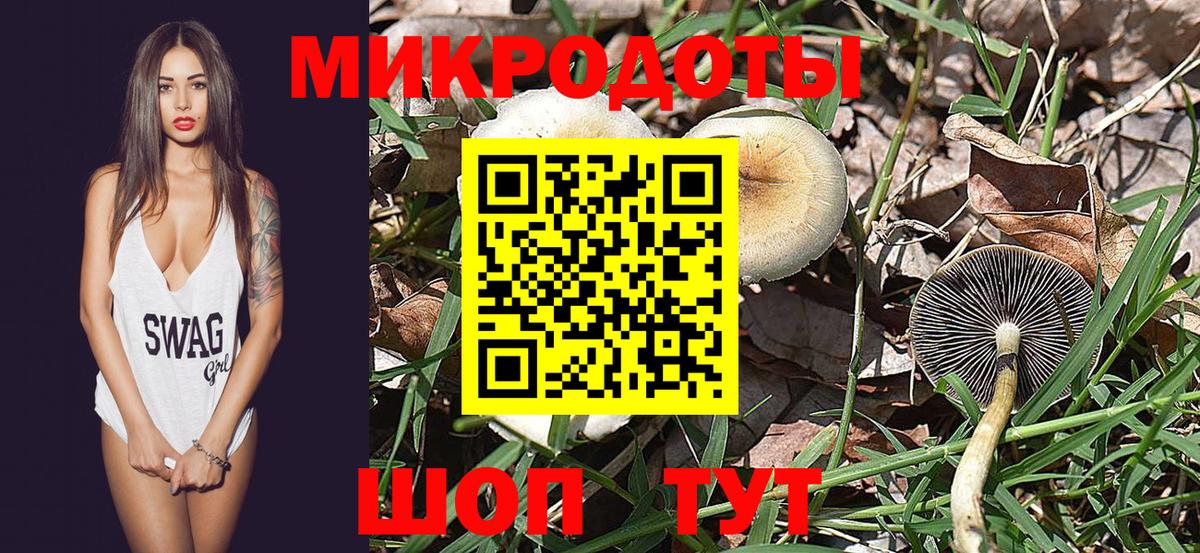 Галлюциногенные грибы прущие грибы Коломна