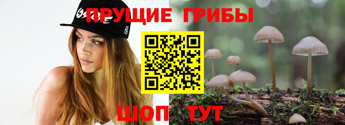 Коломна  Псилоцибиновые грибы прущие грибы  Вход с VPN 